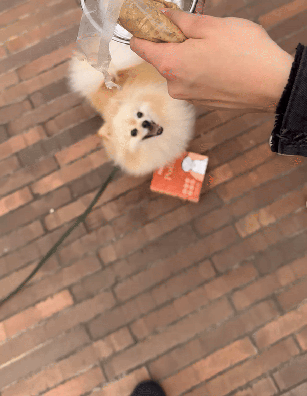 Background GIF