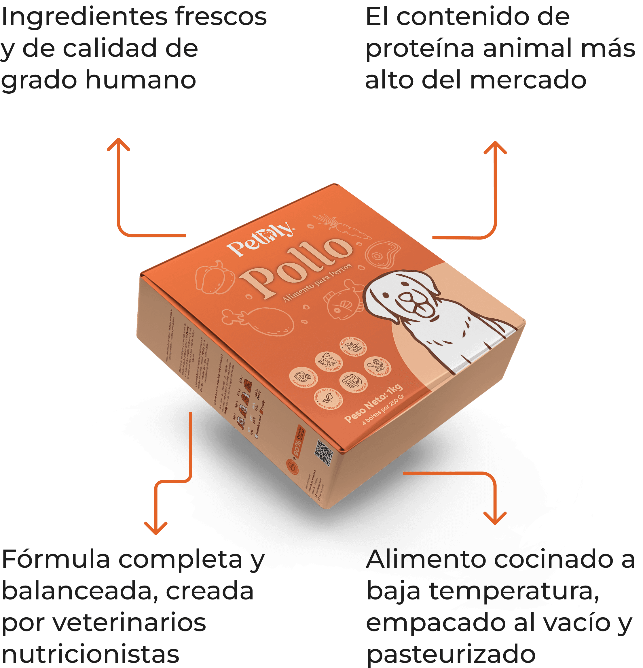 Descripción