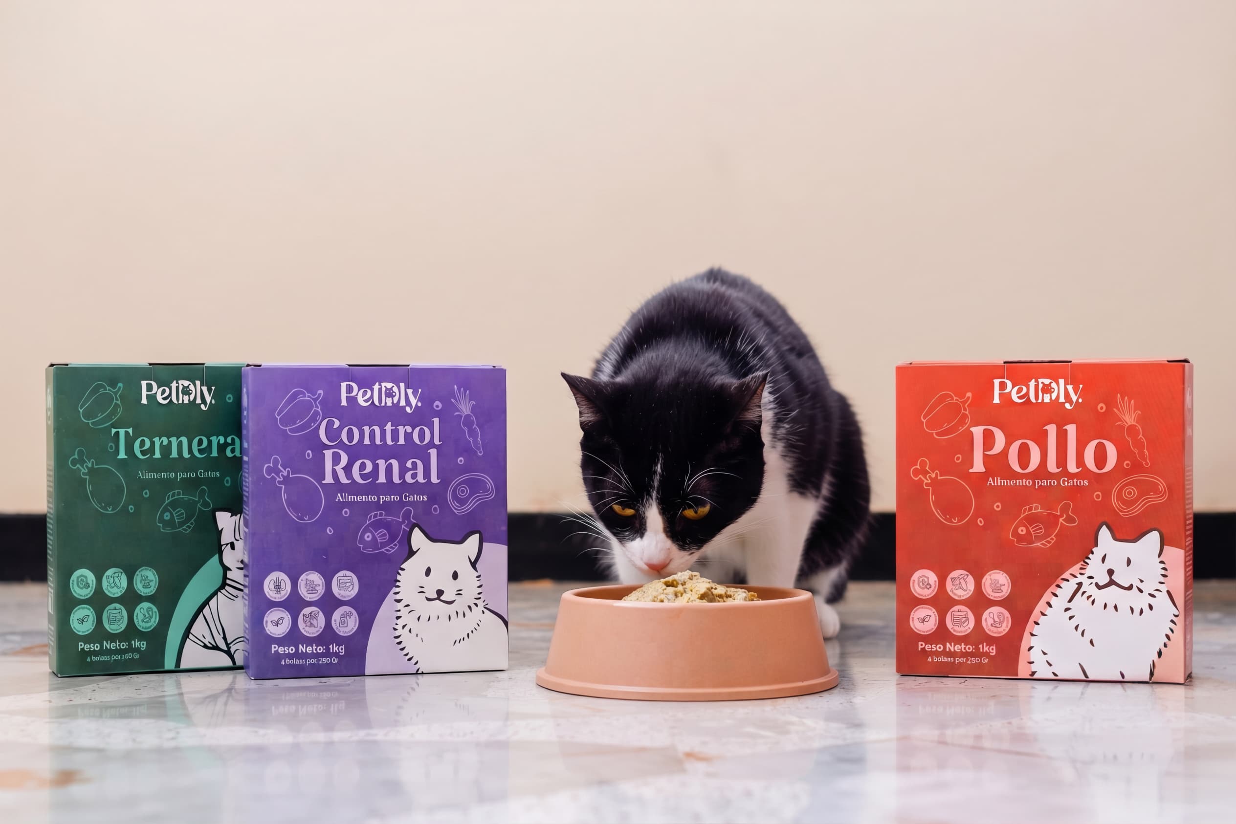 Gato disfrutando una receta Petdly