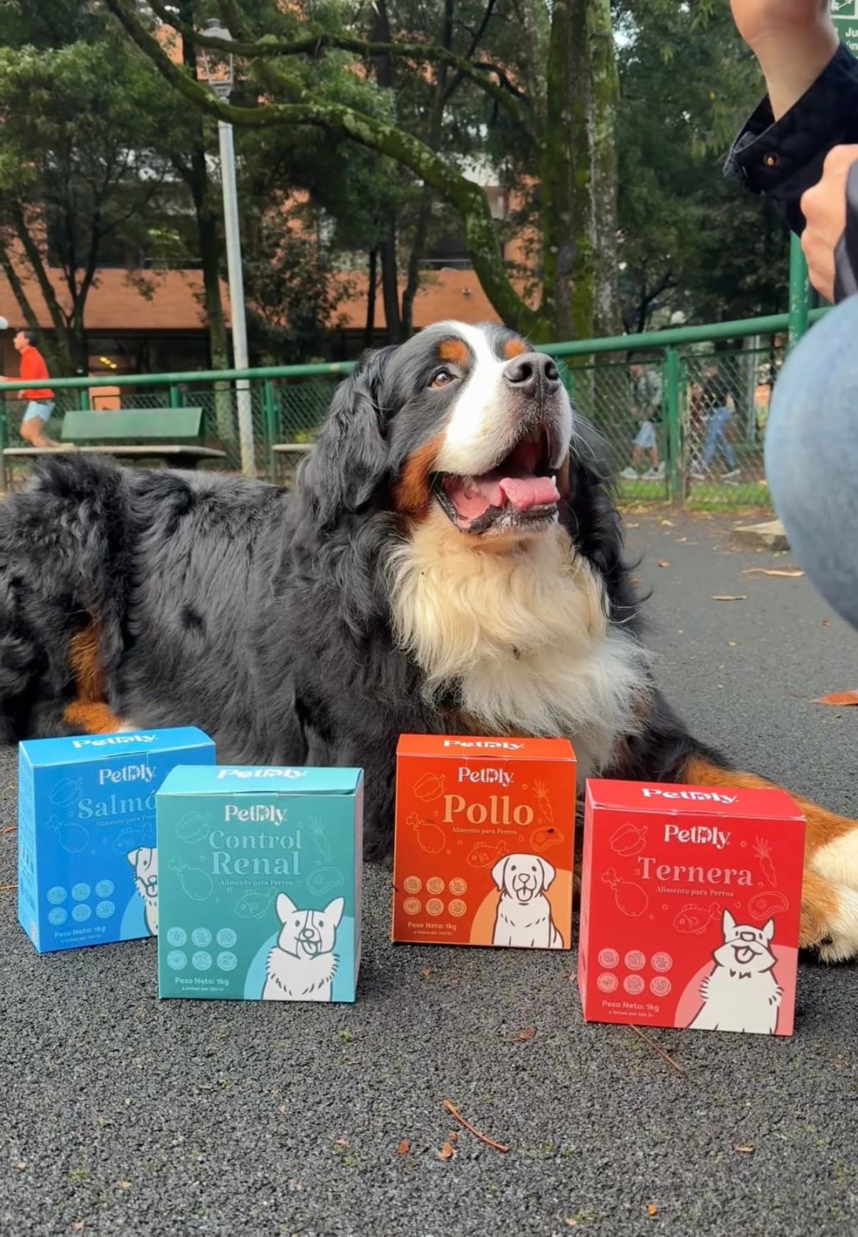Perro junto a caja Petdly en el parque